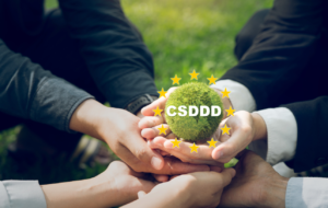 "Corporate Sustainability Due Diligence Directive CSDDD scope explained"