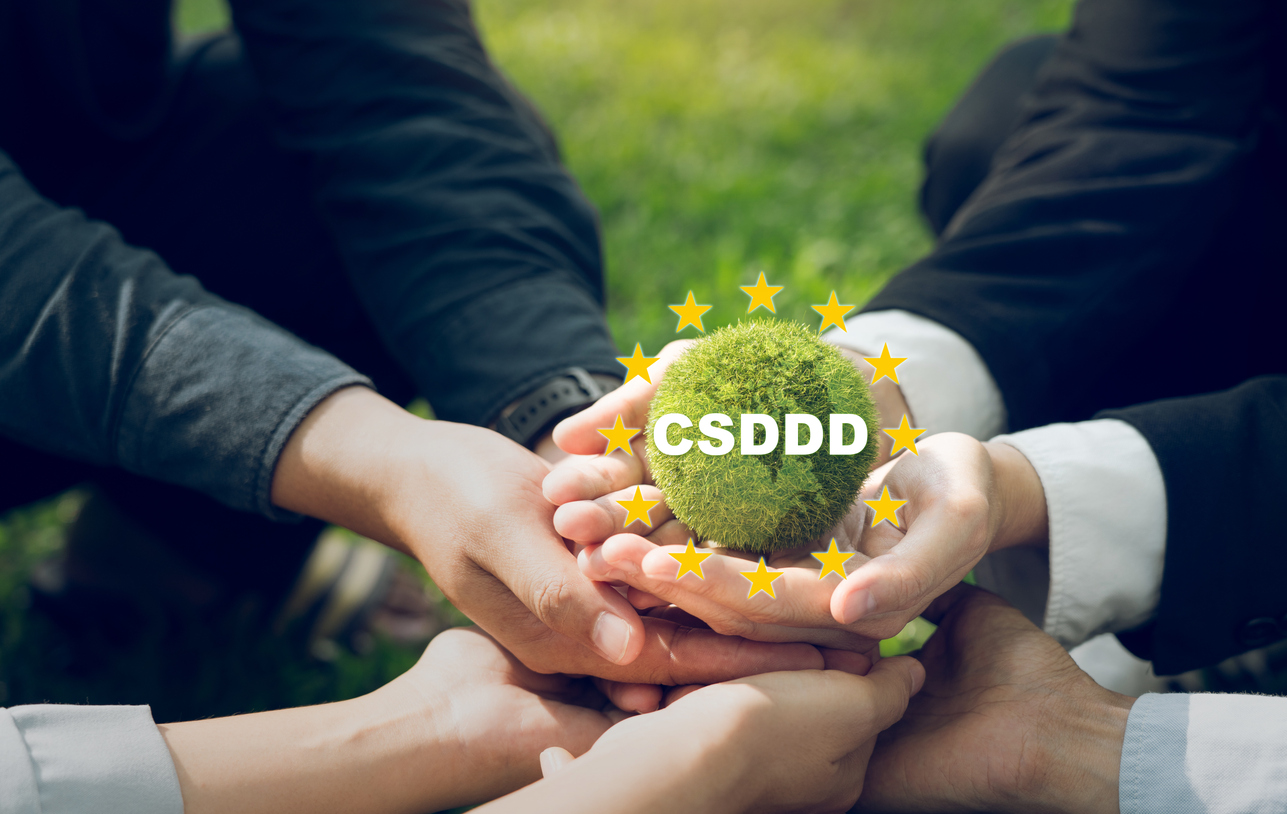"Corporate Sustainability Due Diligence Directive CSDDD scope explained"